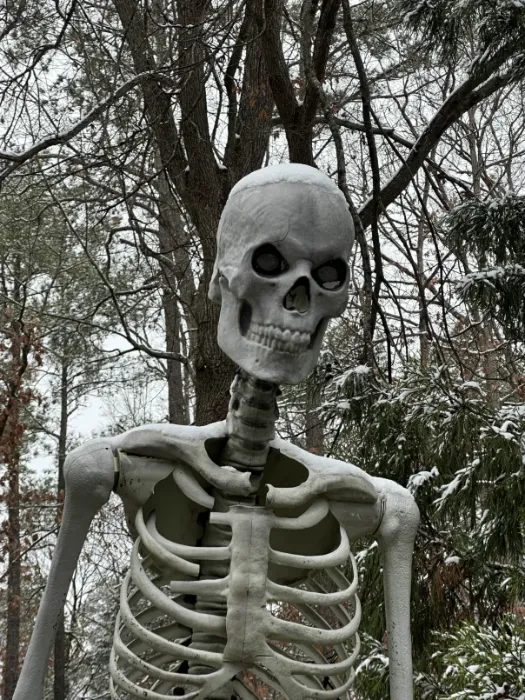 Captain Scotch's 12-foot-skeleton, Jalen M.